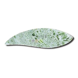 옥돌나뭇잎 접시 A형